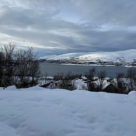 View * 特罗姆瑟